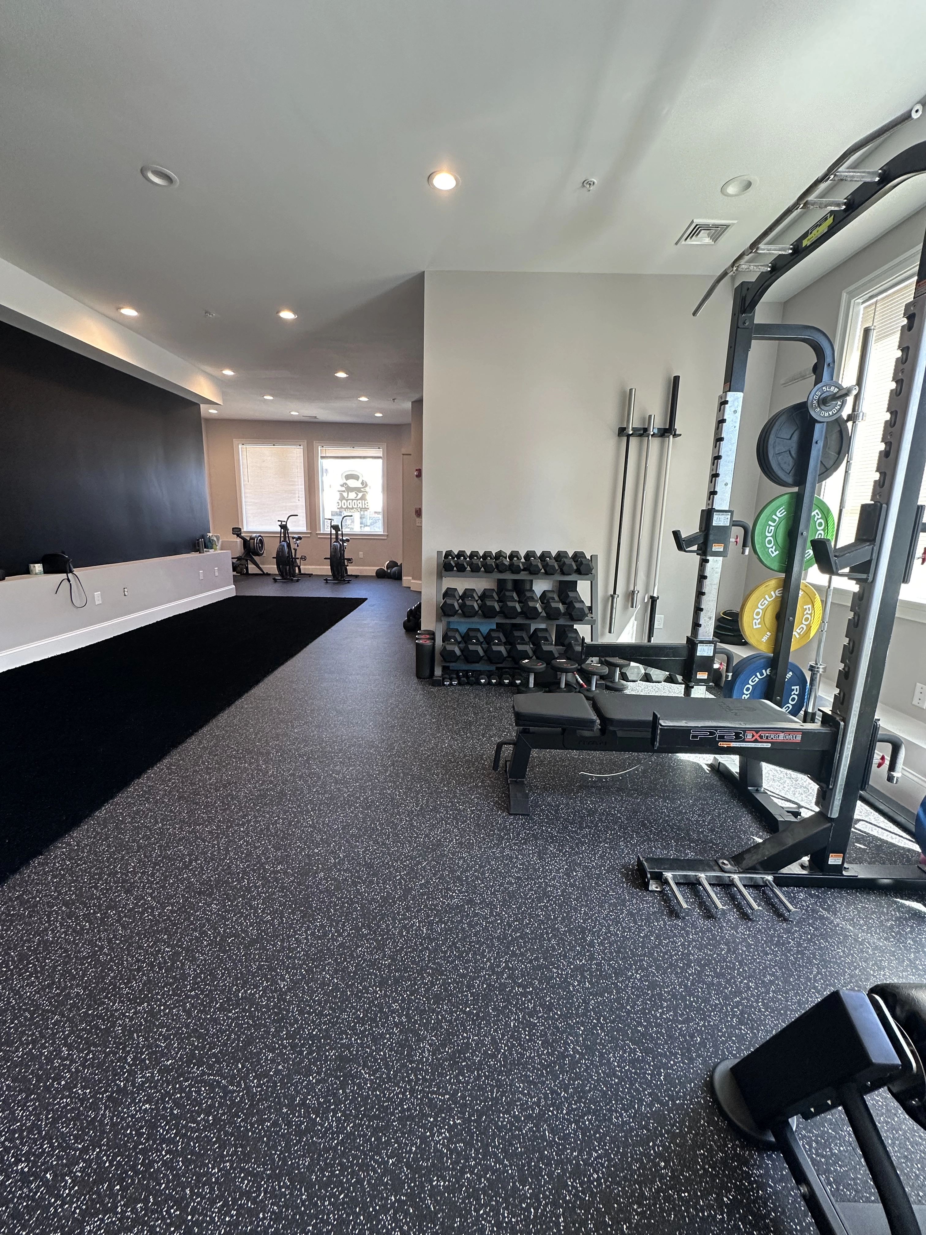 People working out in the gym